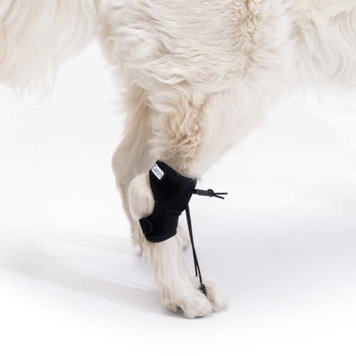 Ortocanis - Propriozeptiver Korrektor für Hunde mit Ischiasnerv- oder Wirbelsäulenverletzungen und Myelopathie, Größe S von Ortocanis
