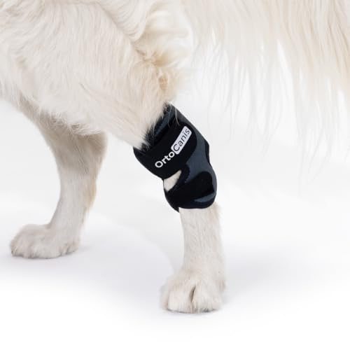 Ortocanis - Sprunggelenkbandage für Hunde - Unterstützung des Tarsus bei Arthrose, Bänderverletzungen und Sehnenentzündungen - Aus ARD-Neopren - Größe: L 16,5-17,5 cm - 13.5-15.5 cm von Ortocanis