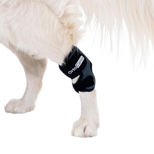 Ortocanis - Sprunggelenkbandage für Hunde - Unterstützung des Tarsus bei Arthrose, Bänderverletzungen und Sehnenentzündungen - Aus ARD-Neopren - Größe: M 14-16,5 cm - 12-13.5 cm von Ortocanis