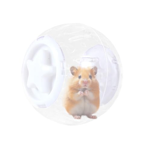 Oseczmut Hamster-Laufball, Hamsterball, Clear Ball, Hamster, Running, Wheel Toy | Zubehör für Tierkäfig. Oseczmut Hamster-Laufball, Hamsterball, Clear Ball, Hamster, Running, Wheel Toy | Zubehör für Tierkäfig. von Oseczmut