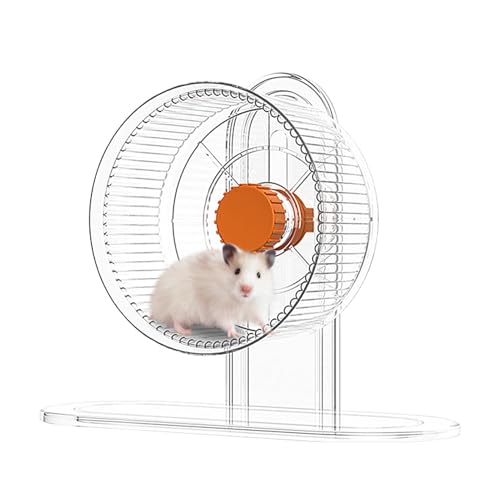 Oseczmut Hamsterrad, leises Hamsterrad, geräuscharmes Chinchilla-Rad für Hamster, Käfigzubehör, Laufräder für kleine Tiere, Übungsspielzeug für Meerschweinchen Oseczmut Hamsterrad, leises Hamsterrad, geräuscharmes Chinchilla-Rad für Hamster, Käfigzubehör, Laufräder für kleine Tiere, Übungsspielzeug für Meerschweinchen von Oseczmut