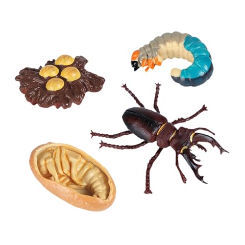 Oshhni Wurm Tiermodell, Wurmspielzeug, Würmer, Wachstumszyklus Spielzeug, Wurm Ornamente, Pädagogisches Spielzeug Set für Kindergartenjungen, Kinder, Stil A von Oshhni