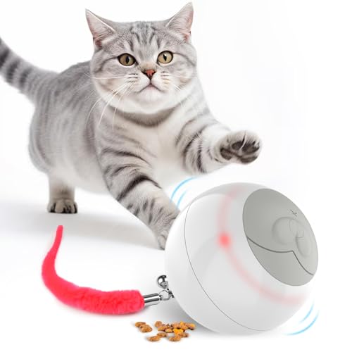 Osinaga Katzenspielzeug Interaktives Katzenspielzeug Ball Katzenfutterspender Langsamfresser Spielzeug Training Futtersuche Katze Puzzle Spielzeug Ball von Osinaga