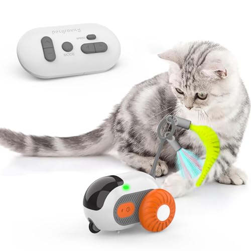 Osinaga Interaktives Katzenspielzeug, Motorisiertes Katzen- und Mausspielzeug mit Fernbedienung, Interaktives Katzenspielzeug, Intelligenter Katzenball mit 2 Modi, USB Wiederaufladbar von Osinaga