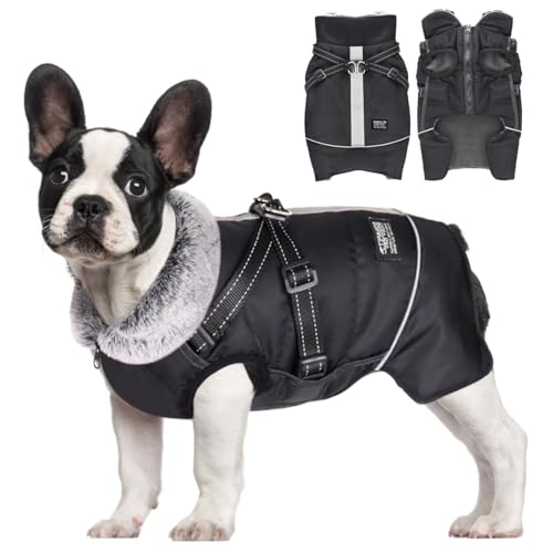 Oslueidy Warmer Hund Mantel, Winter Pet Jacke Reflektierende Kleine Hunde Kleidung Winddicht Welpen Weste Outfit Hund Schneeanzug mit Kabelbaum für kleine mittelgroße große Hunde Bulldogge Teddy von Oslueidy