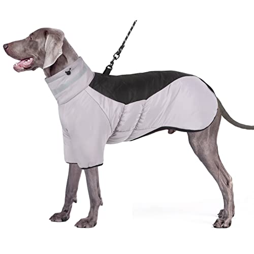 Oslueidy Warmer Hundemantel, wasserdichte Hundekleidung Reflektierende Winter Hundejacke Hund Outfit Mit DIY Klettverschluss Für Mittlere Große Hund Schnauzer Labrador Golden Retriever von Oslueidy