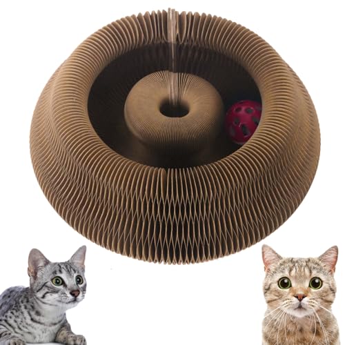 Osvela Magic Organ Cat Scratcher Board Kitty Kurlz Katzenspielzeug Katzenball Spielzeug Interaktives Kratzpad Katzenspielzeug mit Glockenball für Indoor Katzen Spielzeug von Osvela