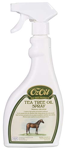 OZOIL Teebaumöl-Spray, E, transparent von Other