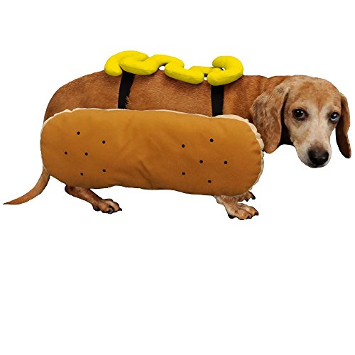 Otis und Claude Holen der Fashion Hot Diggity Dog, Kostüm Senf Medium von Otis and Claude