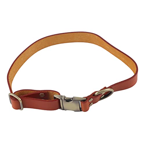 Hundehalsband – Hundehalsband aus Leder – mit gravierter Schnalle – weiches, atmungsaktives Leder – mit hochwertiger gebürsteter Bronze-Hardware – für kleine, (S) von Otufan