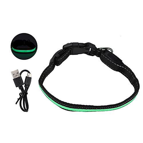 Leuchtendes Hundehalsband – LED-Hundehalsband – Polyestermaterial – einfach zu verwendender Metallclip – reflektierend, verhindert Verheddern – mit USB-Ladefunktion – für Hunden (Kragen L) von Otufan