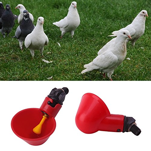 Oumefar 10 PCS Geflügelwasser TrinkbecherAutomatischer Geflügeltrinkbecher Vogel Trinker Feeder Kunststoff Automatischer Trinker für Vieh Hühner Henne Hühnerstall Futterbogen von Oumefar