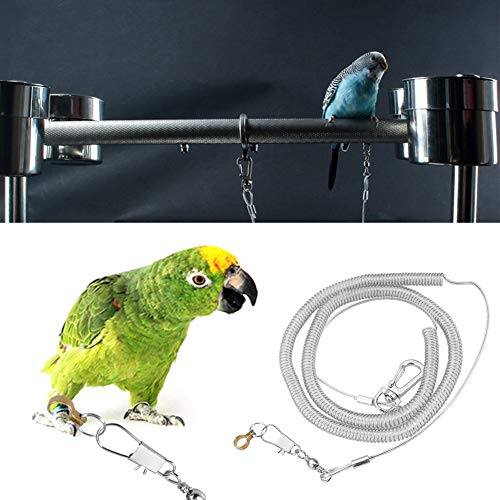 Oumefar 6m Bird Flying Rope Anti-Biss-Haustierleine Kits Edelstahl Vogel Fußkette mit Ring für Bird Parrot Flying Training(6.5MM+6M) von Oumefar