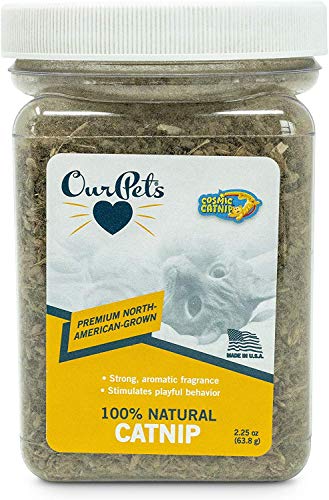 OurPets PREMIUM North-American Grown Catnip 2.25 ounce Jar for Cats - 4 Pack von Our Pets