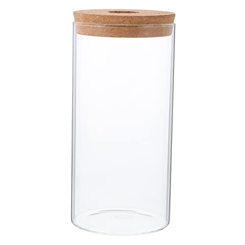 Outanaya Aquarium hydroponische Pflanzen dekorative Pflanzen Hydrokultur-Pflanzgefäß Kaktuspflanze Töpfe für Pflanzen DIY-Mikrolandschaftsflasche Pflanzenbehälter aus Moos Glas Transparent von Outanaya