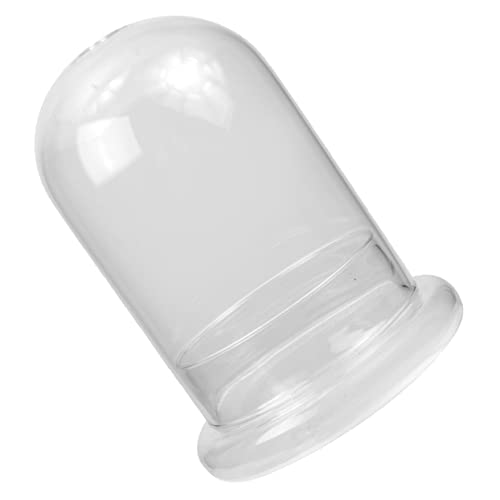 Outanaya Ökologische Mikrolandschaftsflasche Kaktus-Töpfe Cloche-Glas Mikro-Landschaftspflanzerflasche wohnzimmerdeko baddekorationen Pflanzendekor einfache Flasche transparente Flasche von Outanaya