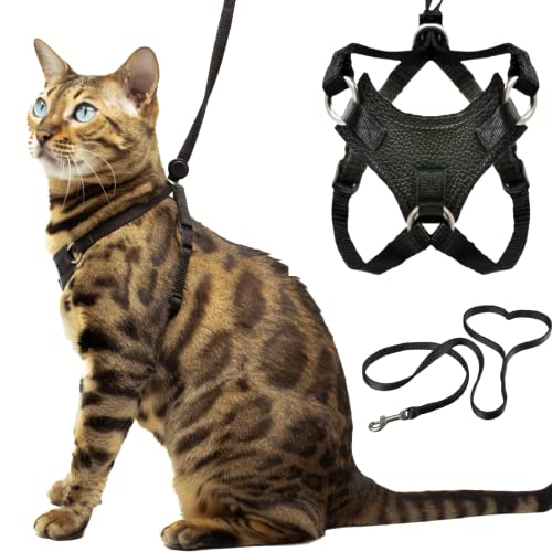 Houdini™ Katzengeschirr und Leine, aus Leder, ausbruchsicher, von OutdoorBengal for Walking Kitten (S) von OutdoorBengal