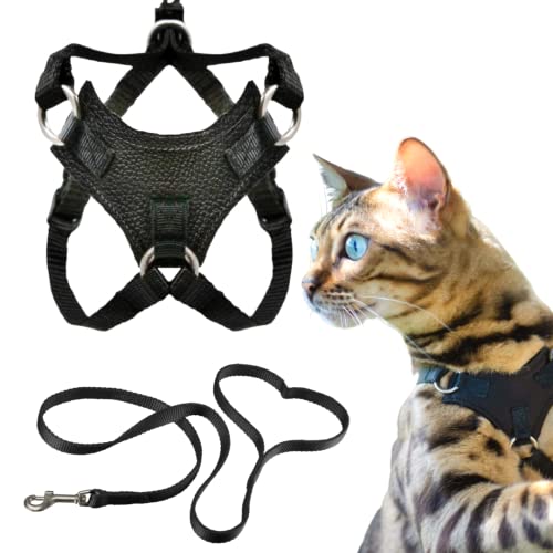 Premium Leder Katzengeschirr und Leine – Minimalistisches und ausbruchsicheres Geschirr und Leine-Set – Choke Free, Comfortable Outdoor Bengal for Walking Cats (Leder, M) von OutdoorBengal