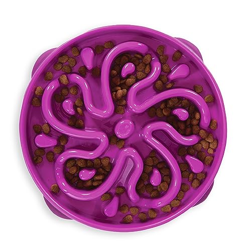 Kyjen Outward Hound Fun Feeder Slo Bowl - Anti-Schling-Napf - groß/normal - violett, L, 51003 von Outward Hound