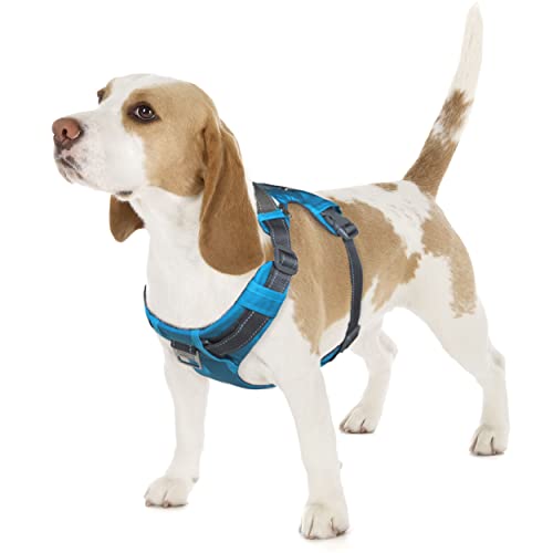Outward Hound Boulder Adventure Hundegeschirr mit Taschen, verstellbar, Türkis, Größe S von Outward Hound