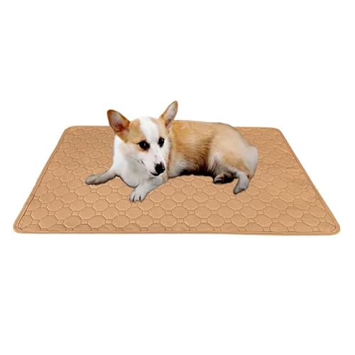 Ovale Wasserdichte Hundematte, schnelle Absorption, wiederverwendbar, rutschfest, für kleine Welpenhunde (50,8 x 35,6 cm, Beige) von Ovale