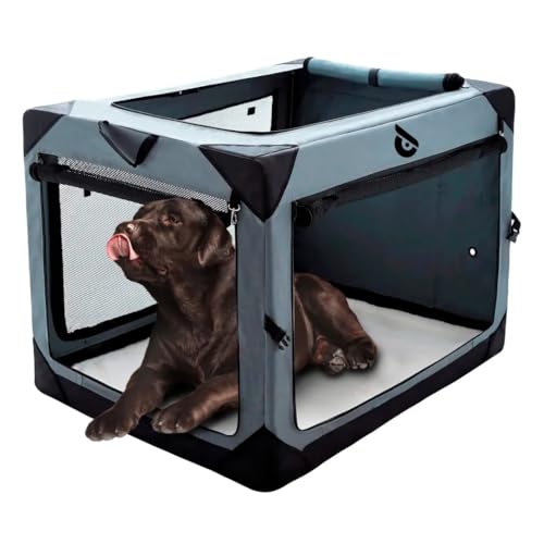 Owleys Faltbare Hundebox - Hundehütte Outdoor Indoor - Faltbare Hundetrage - Tragbare Hundebox mit Netzfenstern - Reisehundebox für mittelgroße Hunde - Große Hundebox - Kleiner Hundekäfig von Owleys