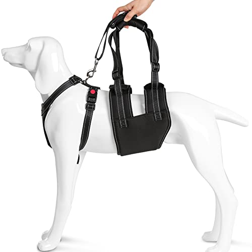 Ownpets Hund Lift Support, Hebegeschirr für Hunde, Rehabilitation Geschirr Mobilität Sling, Geschirr mit Griff für alte Behinderungen oder Arthritis Verletzte Hunde und schwache Hinterbeinen, L von Ownpets