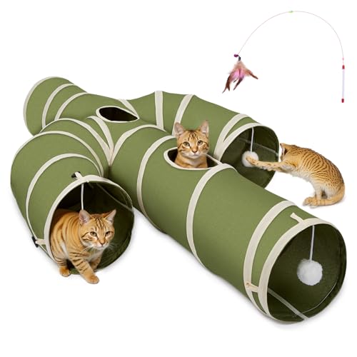 Ownpets Katzentunnel, größerer Kaktus Form Katzen Tunnel 4 Wege, Katzen Tunnel Labyrinth mit robustem Oxford-Gewebe, faltbar und reißfest, Katzentunnel 25cm Durchmesser, Grün von Ownpets