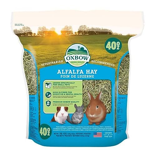 Oxbow Animal Health Alfalfa Heu, 1130 g von Oxbow Animal Health