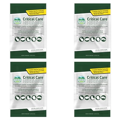 Oxbow Critical Care Herbivore Anis | 4er Pack | 4 x 36 g | Ergänzungsfutter für Pflanzenfresser | Hochfaseriges Timothy-Heu | Zur Unterstützung der Verdauung und der Darmfunktion von Oxbow