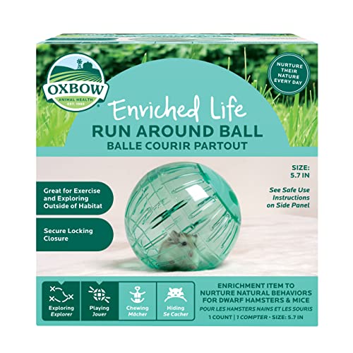 Oxbow Enriched Life Kleintierspielzeug – Fitnessball für Zwerghamster & Mäuse (Run Around Ball) von Oxbow