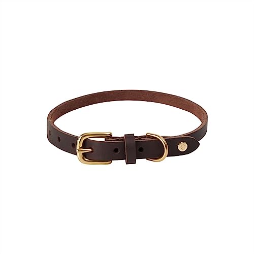 OYOY Zoo Z60028 Hundehalsband, Rotkehlchen, Größe M, Choko von Oyoy Living