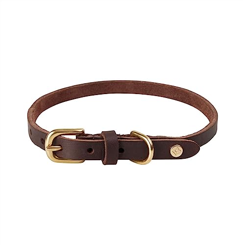 OYOY Zoo Z60029 Hundehalsband, Rotkehlchen, Größe L, Choko von Oyoy Living