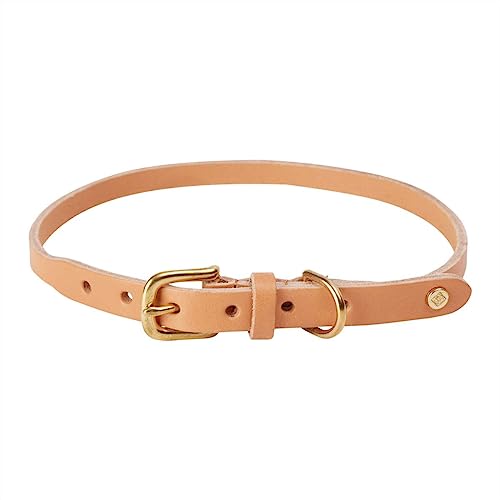 OYOY Zoo Z60048 Hundehalsband, Rotkehlchen, Größe XL, Natur von Oyoy Living