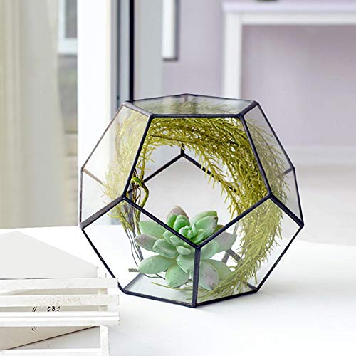 Glas Geometrisches Terrarium, Geometrische Form Glas Blumentopf Sukkulenten Pflanze Pflanzgefäß Container Landschaft Dekoration (Keine Pflanzen enthalten) von Oyunngs