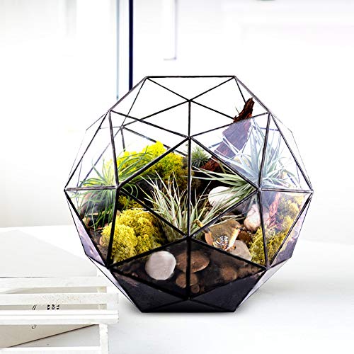 Oyunngs Geometrisches Terrarium aus Glas, eleganter geometrischer Blumentopf Glaspflanzer Pflanzenbehälterhalter Landschaftszubehör von Oyunngs