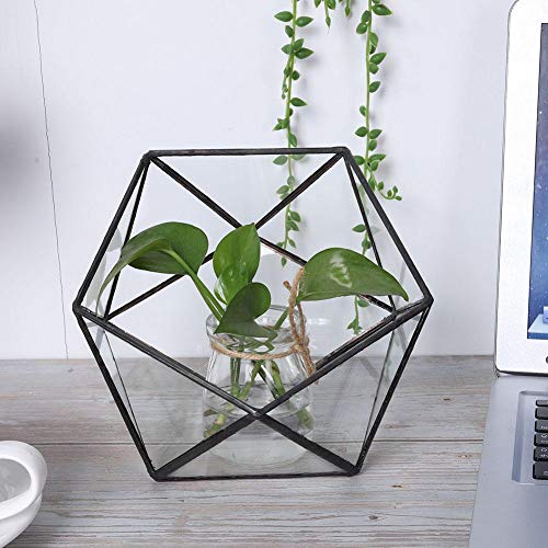 Oyunngs Glass Geometric Terrarium, einzigartige geometrische Glas Pflanzgefäß Container Landschaft Dekoration für Sukkulenten Moos Farn Pflanzen (Keine Pflanzen enthalten) von Oyunngs