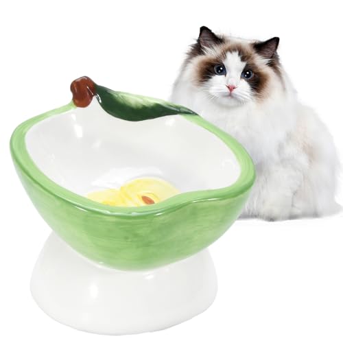 P-ZOONPE Futternapf für Katzen, erhöhter Futternapf, geneigter Wassernapf, Keramik, erhöhter Futternapf, verhindert effektiv Erbrechen, geeignet für Indoor-Katzen, Welpen (Grün) von P-ZOONPE