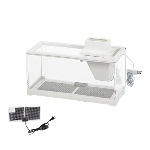 PACHHK Kleines Aquarium, Aquarium mit Innenlicht, Mini-Landschaft, Desktop-Dekoration für kleine Räume von PACHHK