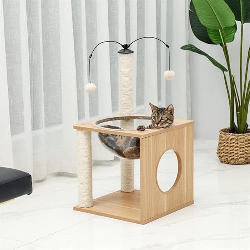 Katzenbaum, Kratzbaum, Kratzbaum für kleine Katzen, Kätzchen, transparentes Acryl-Nest mit 2 drehbaren hängenden Bällen, Katzen-Kletterbaum Vision von PACUM