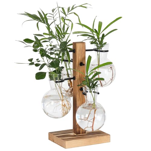 PAG-Mass Pflanzen-Terrarien-Set, Desktop-Hydrokultur, Luft-Pflanzgefäß, Pflanzenvermehrungsstation mit 4 Glühbirnen, Glasvase und Massivholzständer, Heimbüro-Dekoration, Geschenk für Frauen von PAG-Mass