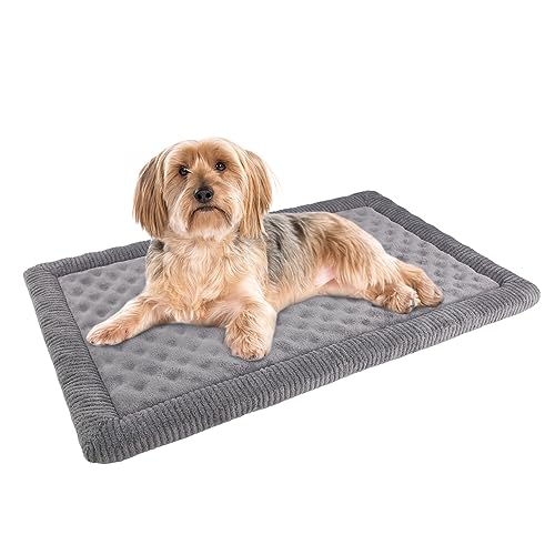Hundebox-Pad, 61 x 43,2 cm, grauer Memory-Schaum, Hundebett-Matte für kleine Hunde, Katzen, waschbar, Welpenschlafbett, rutschfest, Grau von PAGGED