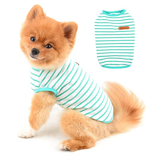 PAIDEFUL Britisches kleines Hunde-Shirt mit gestreiftem Katzen-Weste, Top, weiche Baumwolle, T-Shirt für Jungen, Haustier-T-Shirt, Sommer, Welpen, Chihuahua, Yorkie-Kleidung, atmungsaktiv, Tank Tops von PAIDEFUL