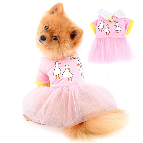 PAIDEFUL Dog Gaze Kleid für Kleine Mittlere Hunde Katzen Weibliche Mädchen Weiche Baumwolle Weste Hemden Tutu Rock Atmungsaktive Welpe Chihuahua Kleidung Schleierkleid Haustier Frühling Sommer Pink S von PAIDEFUL