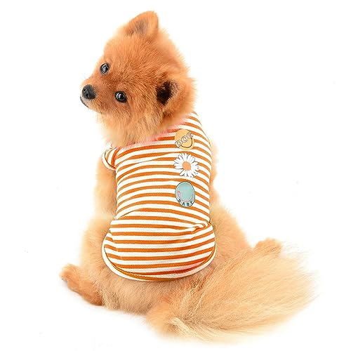 PAIDEFUL Streifen Hund Hemden für Kleine Mittlere Hunde Katzen Weiche Baumwolle Weste T-Shirts Seeveless Atmungsaktive Welpen Mädchen Jungen Chihuahua Kleidung Haustier Sommer Tragen Outdoor Orange M von PAIDEFUL