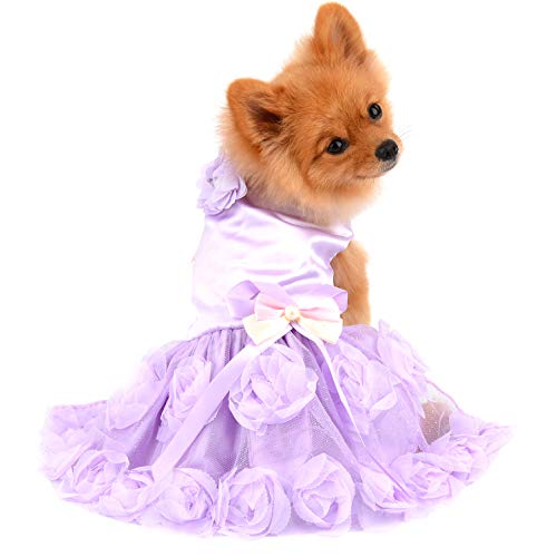 PAIDEFUL Haustierkleid für Kleine Hunde Katzen Mädchen Sommer Luxus Welpen Hochzeitskleid Rose Blume Spitze Tutu Rock Seidig Bowknot Geburtstags Party Kleid Hundekleid Chihuahua Kleidung Lila XL von PAIDEFUL