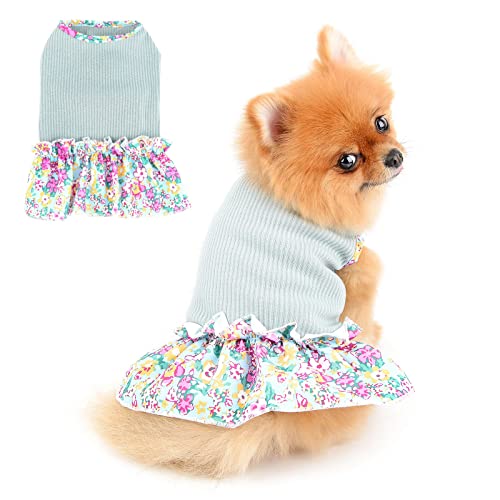 PAIDEFUL Hundeblumenkleid für Kleine Mittelgroße Hunde Katzen Mädchen Weiche Baumwollweste Rüschenrock Atmungsaktive Tanktops Welpen Chihuahua Yorkie Kleidung Haustier Frühling Sommer Trägt Grün XS von PAIDEFUL