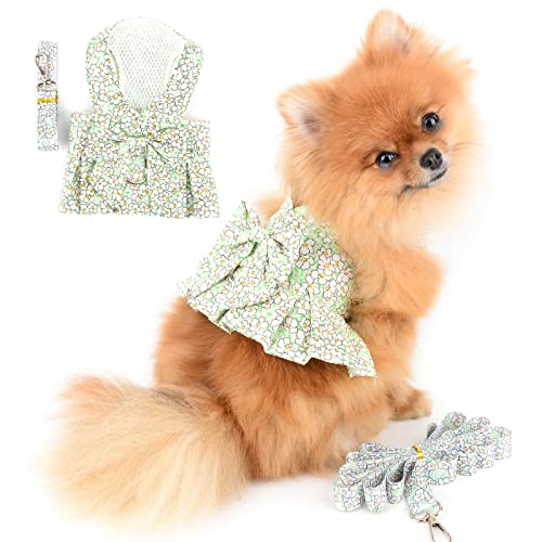 PAIDEFUL Hundegeschirr Kleid für Kleine Hunde Katzen Mädchen Blumen Tutu Rock Mesh Atmungsaktiv Haustierkleidung mit Leine 1,6 m Welpen Chihuahua Kleidung Mini Bekleidung Frühling Sommer Grün XL von PAIDEFUL