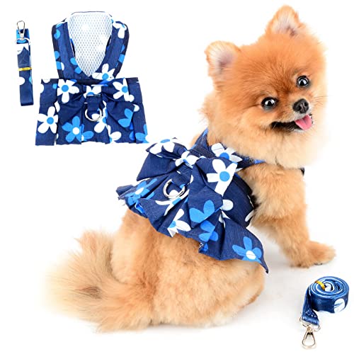 PAIDEFUL Hundegeschirr Kleid für Kleine Hunde Katzen Mädchen Bunte Blumen Tutu Rock Mesh Atmungsaktiv Haustierkleidung mit Leine 1,6 m Mini Welpen Chihuahua Yorkie Kleidung Frühling Sommer Blau XXL von PAIDEFUL