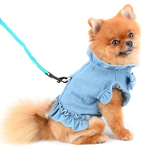 PAIDEFUL Hundegeschirr Kleid für Kleine Hunde Katzen Mädchen Denim Tutu Rock Haustierkleidung Mini Welpen Chihuahua Yorkie Kleidung Frühling Sommer Hellblau XXL von PAIDEFUL